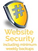 security-100